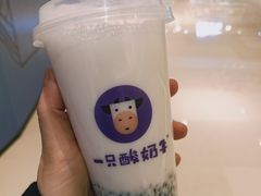 -一只酸奶牛(八一路店)