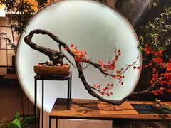 -六朝博物馆