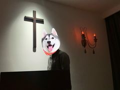 -叁拾壹丨浮世绘x壹拾叁沉浸演绎剧场