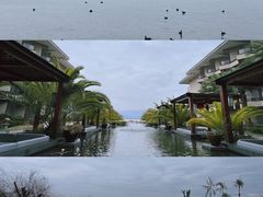 -西昌邛海湿地