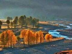 -稻城亚丁风景区-电瓶观光车售票处