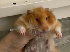 -长安国际影城(钟楼店)