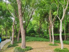 -南翔镇银翔湖公园