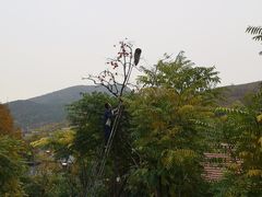 -上方山云水洞