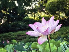 -厦门国家会计学院