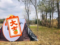 -天适樱花悠乐园