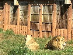 -昆明动物园