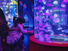 -顺德南宏海立方海洋公园