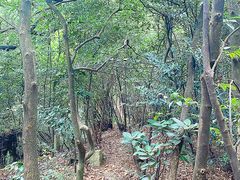 -广州市白云山风景名胜区