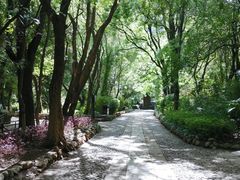 -蝴蝶泉公园