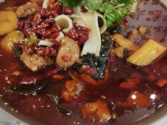 -晓彭肥肠鸡·泡椒鸡火锅(水木天地店)