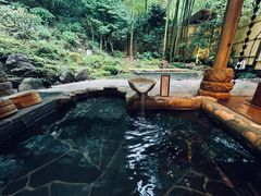 -有马温泉 竹取亭円山温泉旅馆