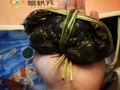 -蟹状元大闸蟹·年货·粽子(成都成华店)
