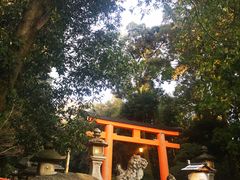 -奈良公园