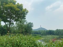 -北坞公园