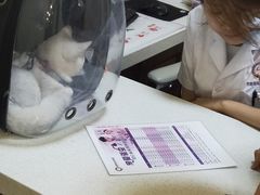 -宠爱国际动物医院· 猫科· 外科·中兽医(长白店)