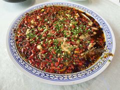 -新概念来凤鱼(璧山店)