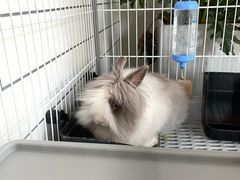 -小意思咖啡店(草桥店)