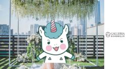 -格乐利雅婚礼艺术中心(南外滩店)