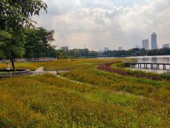 -海珠湖公园