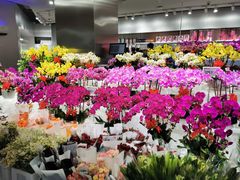 -盒马X会员店(王府井奥莱UP TOWN店)
