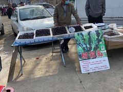 -示范集贸市场
