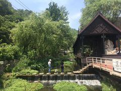 -Local泰莲庭(虹鳟鱼店)