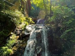 -藏龙百瀑风景区