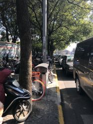 -上海交通大学医学院附属上海儿童医学中心(陆家嘴总院区)