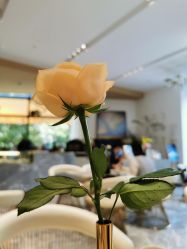 -Dr.U博士医疗美容医院