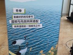 -盐城丹顶鹤湿地生态旅游区