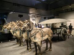 -秦始皇帝陵博物院-丽山园