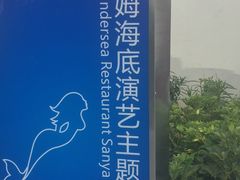 -瑞德姆美人鱼海底演艺主题餐厅(亚龙湾店)