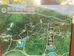 -灵谷景区