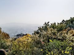 -灵岩山风景区