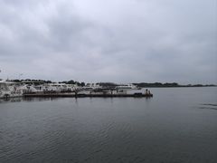 -莲花岛景区