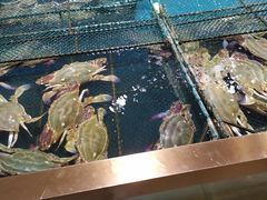 -七鲜超市(通州ONE店)