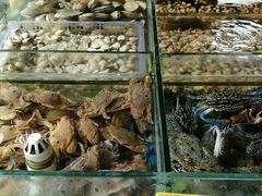 -岛中岛·海鲜大排档·万宁老字号(东澳店)