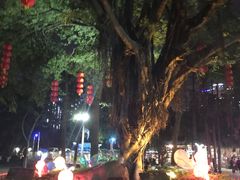 -金砂公园