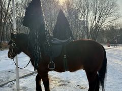 -沈阳奥体冰雪嘉年华