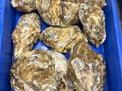 -渡海小渔村.老辈日照菜