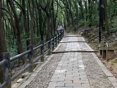 -苏州上方山国家森林公园