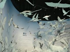 -中国湿地博物馆