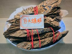 -广东中医药博物馆