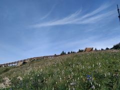 -白草畔自然风景区