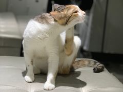 -上海第一八佰伴