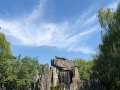 -溱湖国家湿地公园