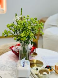 -WENDY·温迪皮肤管理