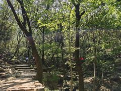 -虞山风景区