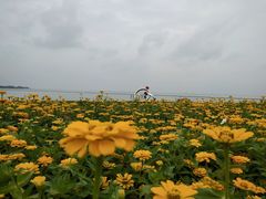 -巢湖姥山岛